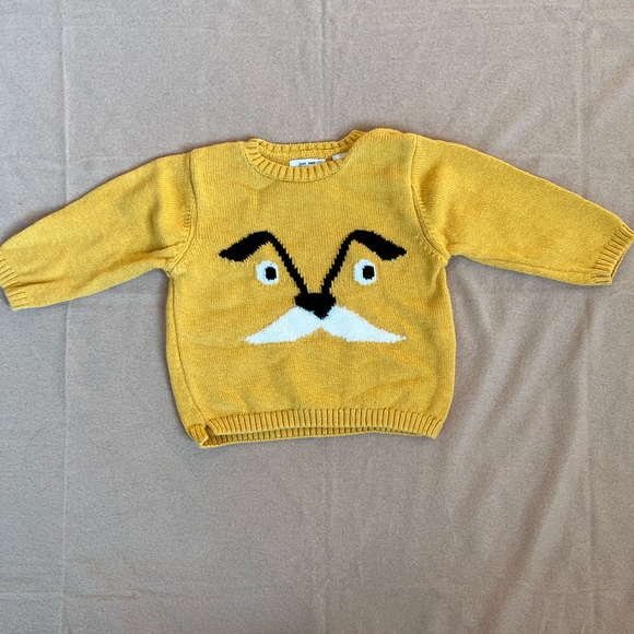 Zara Other - Zara Baby Sweater 12-18 months